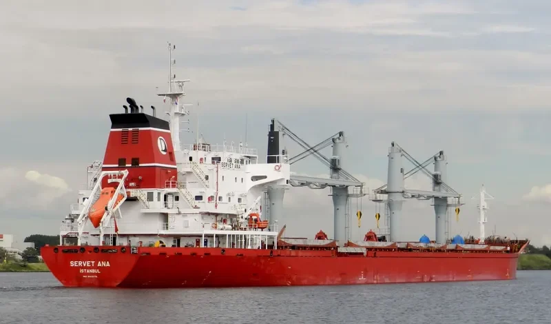 SERVET ANA Bulk Carrier IMO 9443774 photo 10