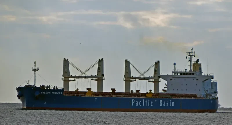 LUMOSO KARUNIA II Bulk Carrier IMO 9443803 photo 4