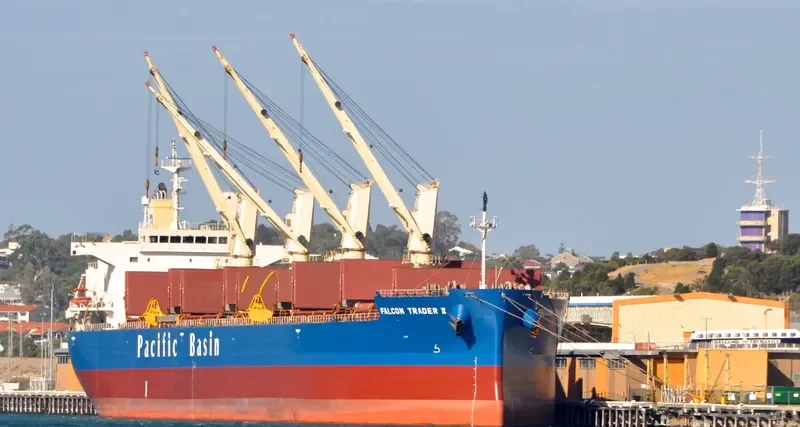 LUMOSO KARUNIA II Bulk Carrier IMO 9443803 photo 8