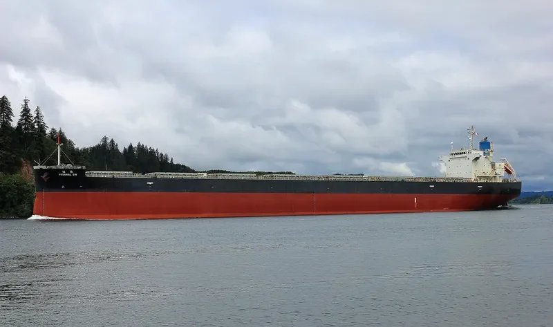 FEDERAL SW Bulk Carrier IMO 9443815 photo 3