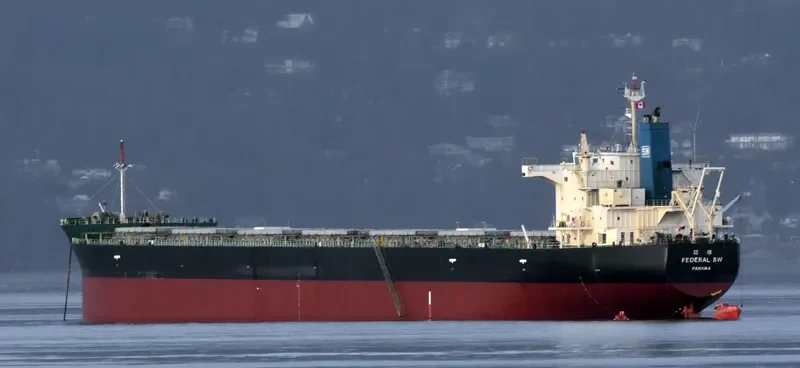 FEDERAL SW Bulk Carrier IMO 9443815 photo 6