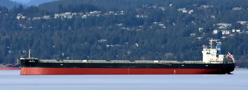 FEDERAL SW Bulk Carrier IMO 9443815 photo 7