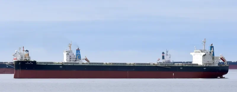 FEDERAL SW Bulk Carrier IMO 9443815 photo 8