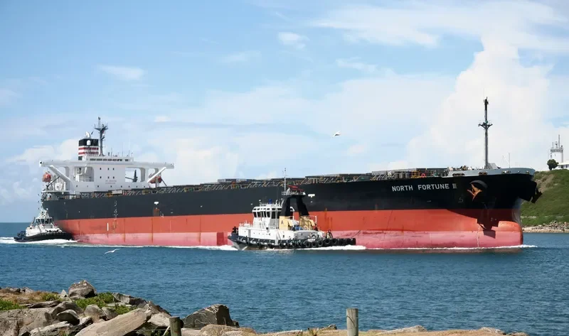 NORTH FORTUNE Bulk Carrier IMO 9443827 photo 3