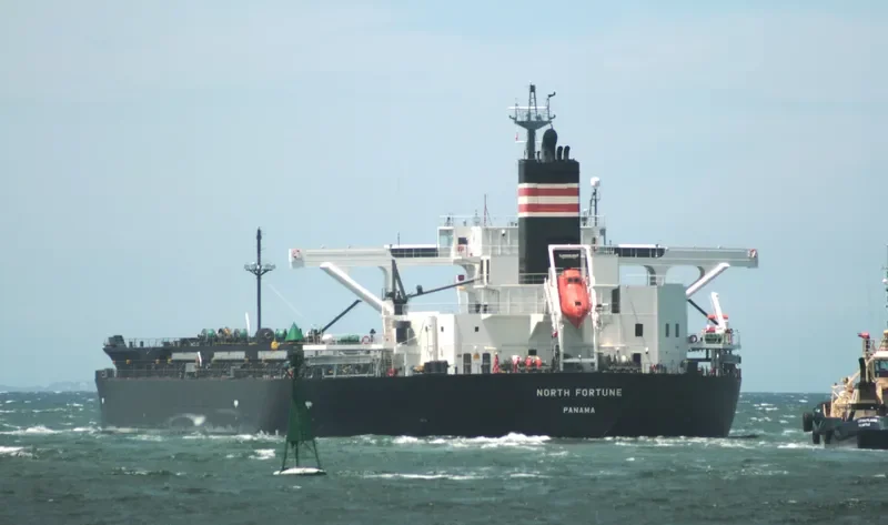 NORTH FORTUNE Bulk Carrier IMO 9443827 photo 4