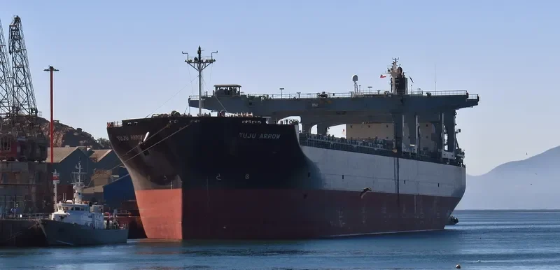 TUJU ARROW General Cargo IMO 9443920 photo 2