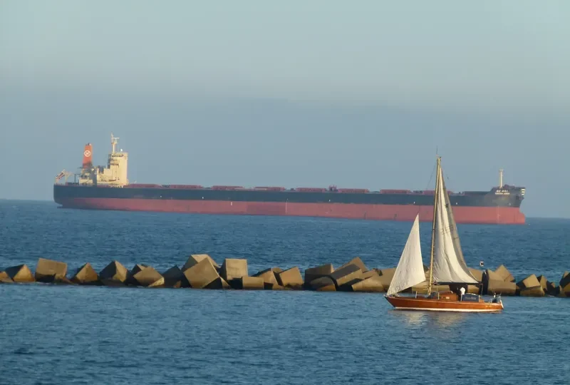 HL SINES Bulk Carrier IMO 9444027 photo 7