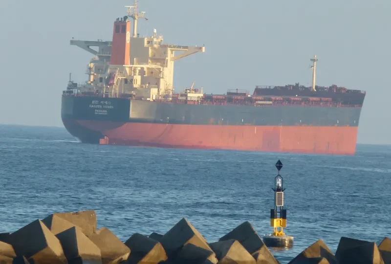 HL SINES Bulk Carrier IMO 9444027 photo 8