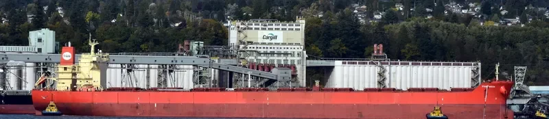 PAN FREESIA Bulk Carrier IMO 9444247 photo 3