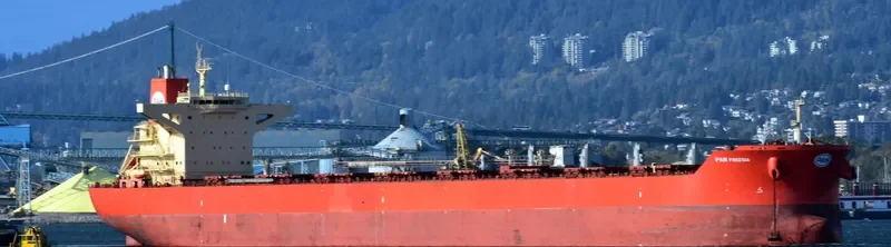 PAN FREESIA Bulk Carrier IMO 9444247 photo 4