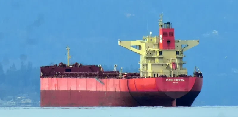 PAN FREESIA Bulk Carrier IMO 9444247 photo 10
