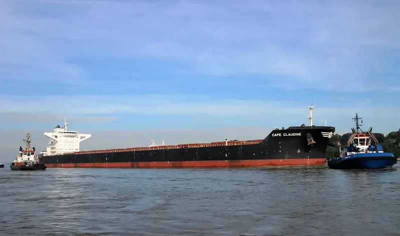 STAR CLAUDINE Bulk Carrier IMO 9444534 photo 7