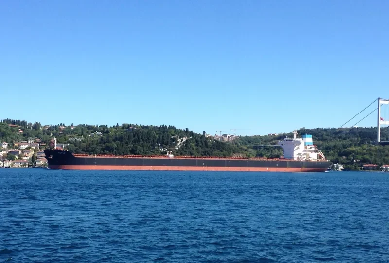 MAIRAKI Bulk Carrier IMO 9444546 photo 3