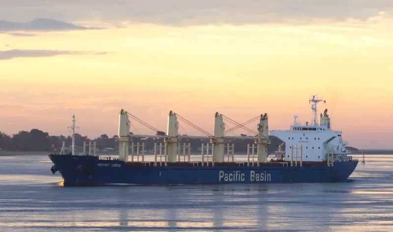 MOUNT OWEN Bulk Carrier IMO 9444924 photo 2