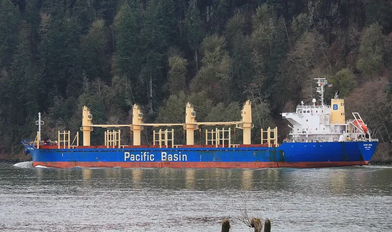 MOUNT OWEN Bulk Carrier IMO 9444924 photo 3