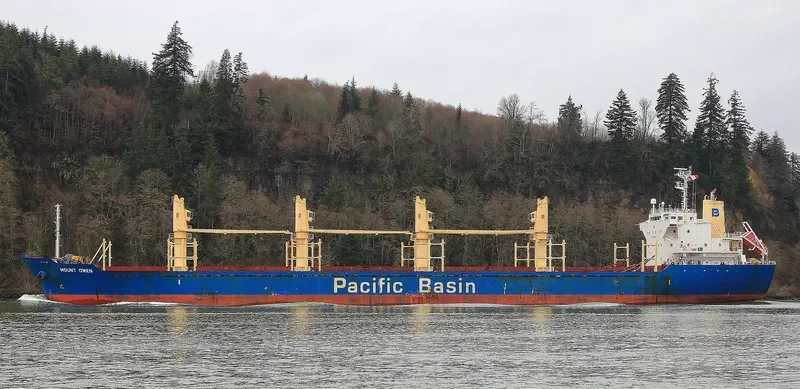 MOUNT OWEN Bulk Carrier IMO 9444924 photo 4