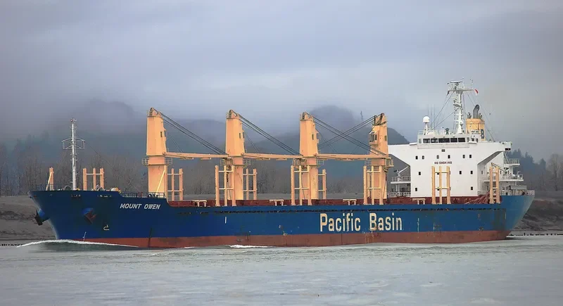 MOUNT OWEN Bulk Carrier IMO 9444924 photo 5