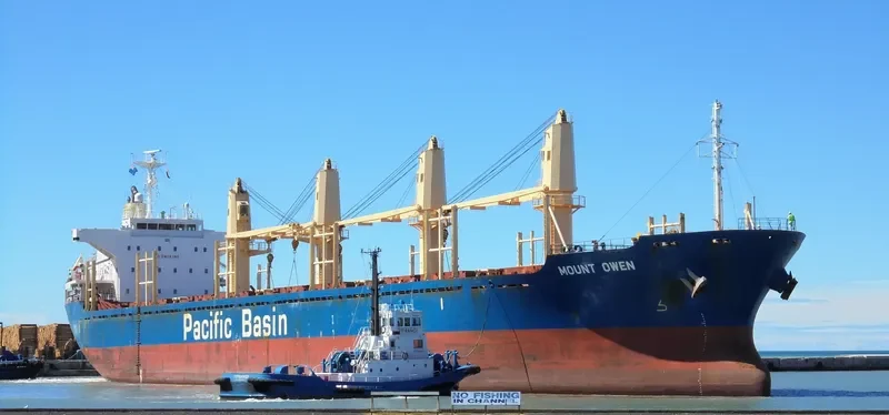 MOUNT OWEN Bulk Carrier IMO 9444924 photo 6