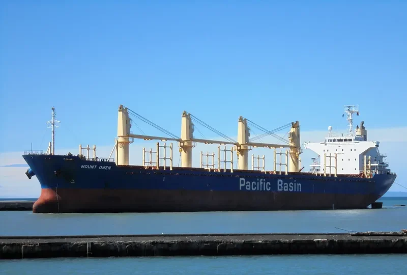 MOUNT OWEN Bulk Carrier IMO 9444924 photo 7