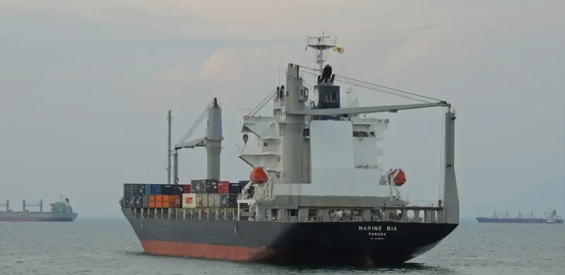 MARINE BIA Container Ship IMO 9445007 photo 2