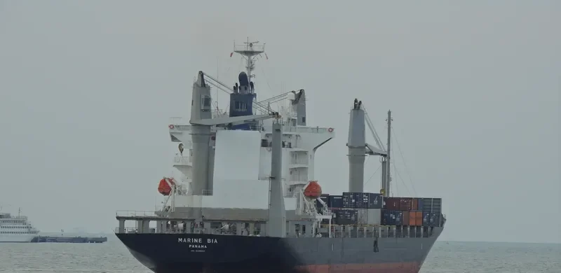 MARINE BIA Container Ship IMO 9445007 photo 4