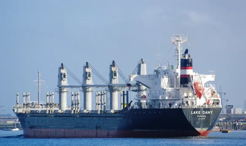 LAKE DANY Bulk Carrier IMO 9445021 photo 3