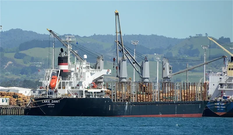 LAKE DANY Bulk Carrier IMO 9445021 photo 4