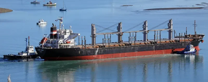 LAKE DANY Bulk Carrier IMO 9445021 photo 5