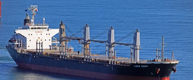 LAKE DANY Bulk Carrier IMO 9445021 photo 8