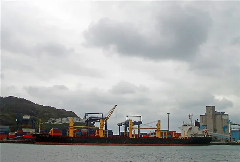 GLADIATOR Bulk Carrier IMO 9445033