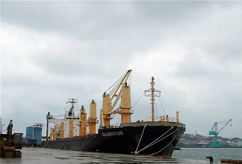 GLADIATOR Bulk Carrier IMO 9445033 photo 3