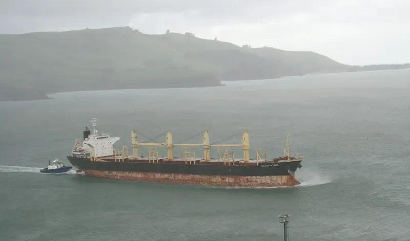 GLADIATOR Bulk Carrier IMO 9445033 photo 4