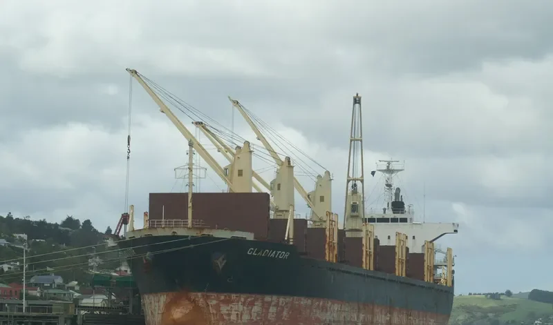 GLADIATOR Bulk Carrier IMO 9445033 photo 6