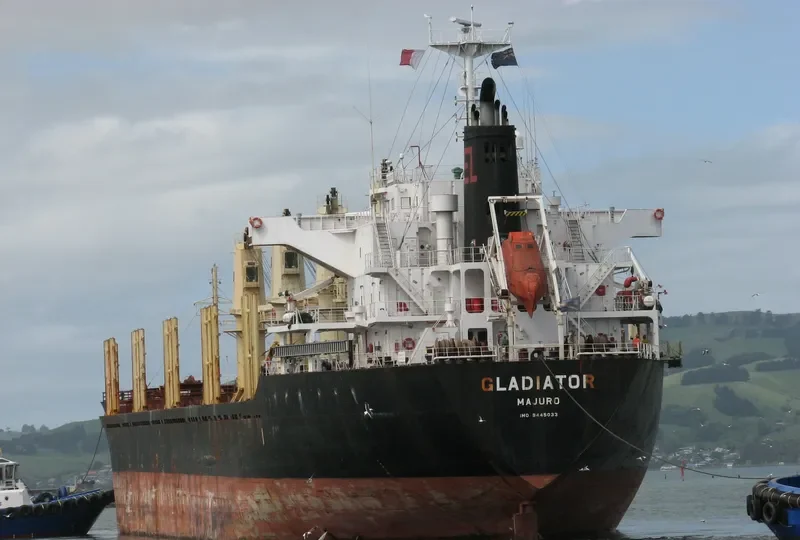 GLADIATOR Bulk Carrier IMO 9445033 photo 7