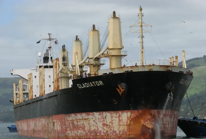 GLADIATOR Bulk Carrier IMO 9445033 photo 8