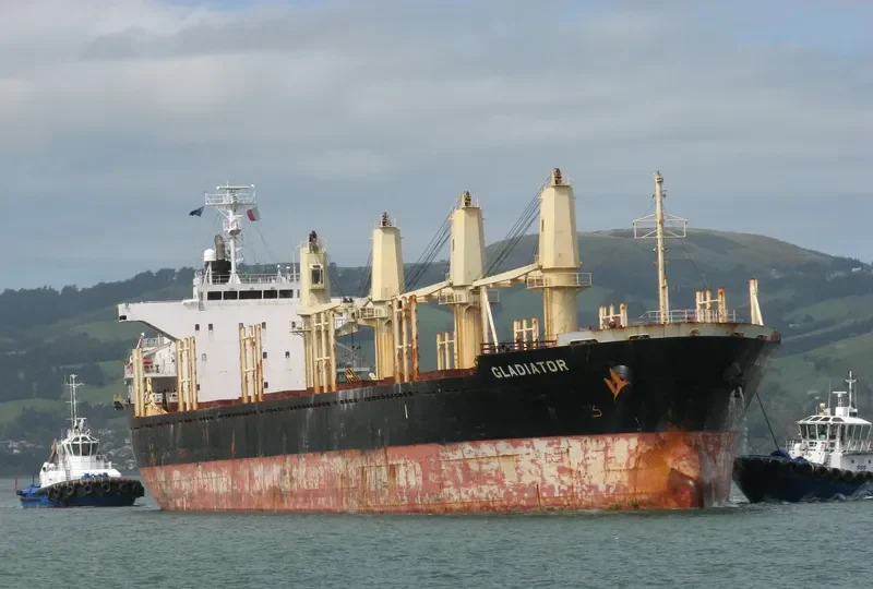GLADIATOR Bulk Carrier IMO 9445033 photo 9