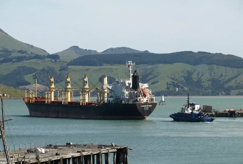 GLADIATOR Bulk Carrier IMO 9445033 photo 10