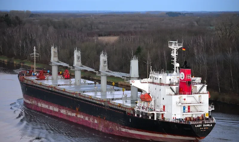 LADY DAMLA Bulk Carrier IMO 9445045 photo 2