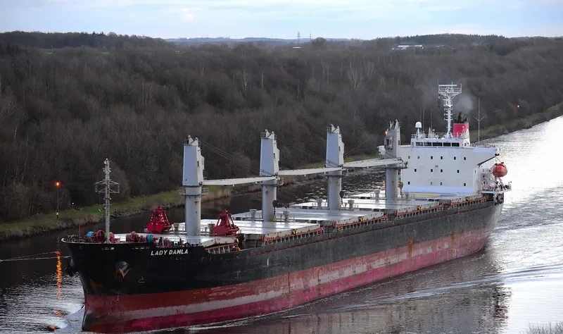 LADY DAMLA Bulk Carrier IMO 9445045 photo 3