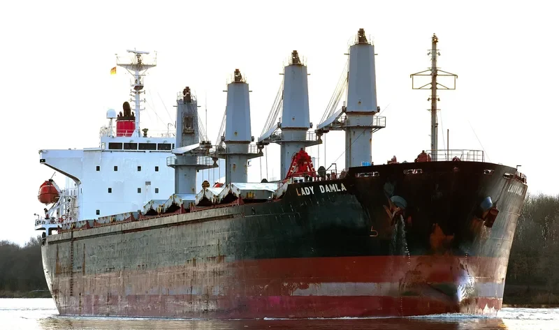 LADY DAMLA Bulk Carrier IMO 9445045 photo 4