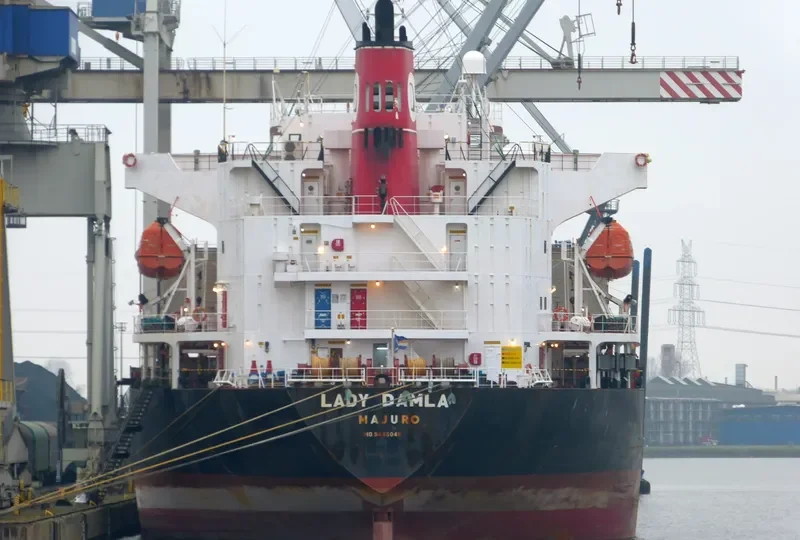 LADY DAMLA Bulk Carrier IMO 9445045 photo 5