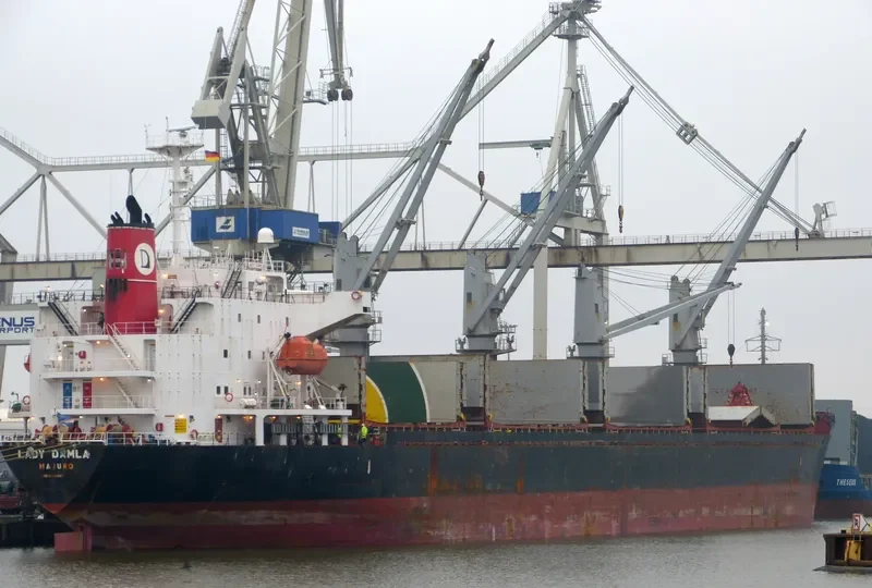 LADY DAMLA Bulk Carrier IMO 9445045 photo 6