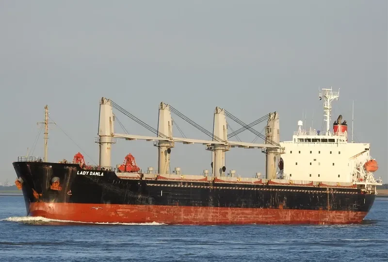 LADY DAMLA Bulk Carrier IMO 9445045 photo 7