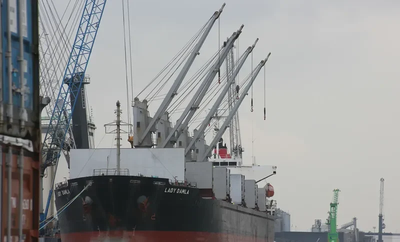 LADY DAMLA Bulk Carrier IMO 9445045 photo 9