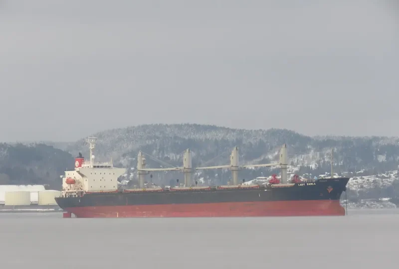 LADY DAMLA Bulk Carrier IMO 9445045 photo 10