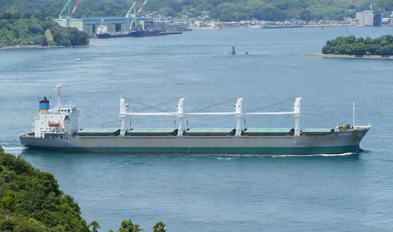GOLDEN LIGHT 09 Bulk Carrier IMO 9445057