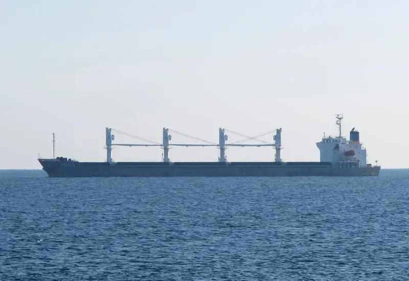 GOLDEN LIGHT 09 Bulk Carrier IMO 9445057 photo 6