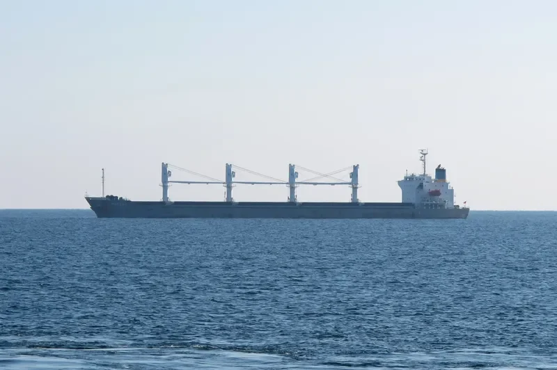 GOLDEN LIGHT 09 Bulk Carrier IMO 9445057 photo 7