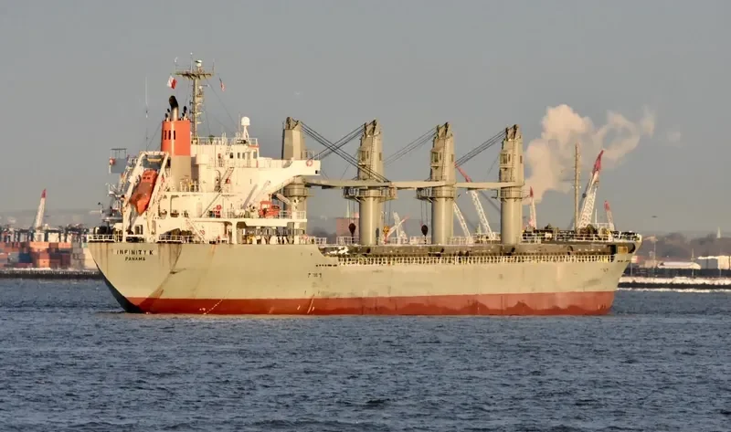 INFINITY K Bulk Carrier IMO 9445069