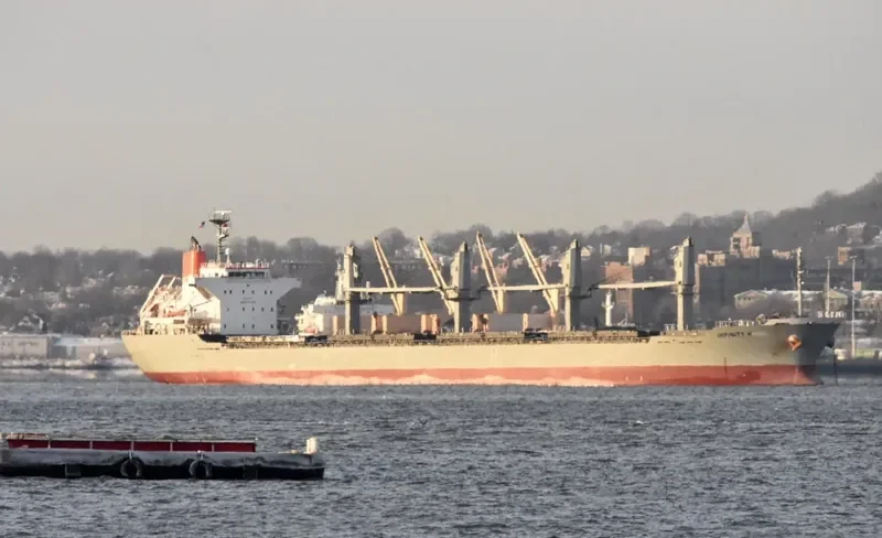 INFINITY K Bulk Carrier IMO 9445069 photo 2
